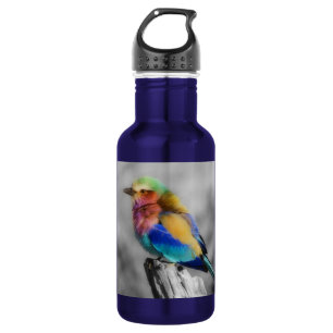 Garrafa Rainbow Bird