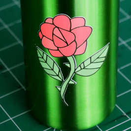 Garrafa Rosa vermelha
