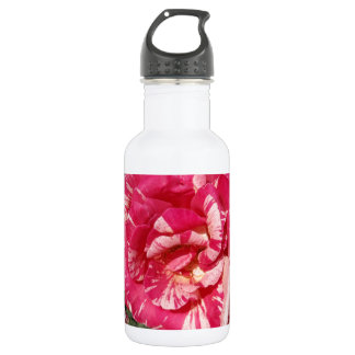 Garrafa Rosa Vermelha e Creme