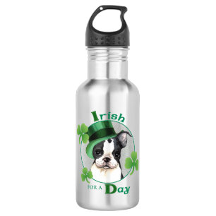 Garrafa Rua. Dia de Patrick, Boston Terrier