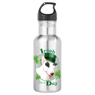 Garrafa Rua, dia de Patrick, Touro Terrier