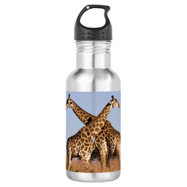 Garrafa Safari Africa Girafas (Frente)