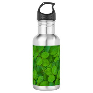 Garrafa Santo Basil Tulsi Green Mint Folhas