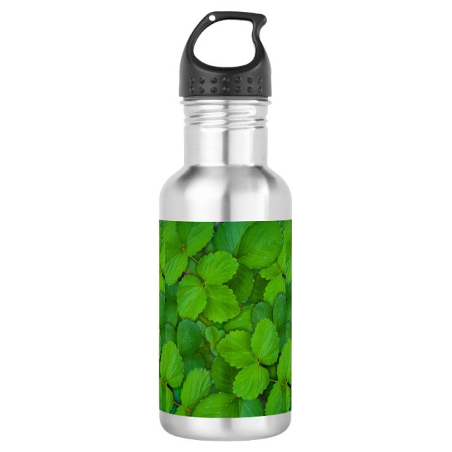 Garrafa Santo Basil Tulsi Green Mint Folhas (Frente)