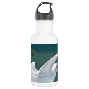 Garrafa Seagull.JPG
