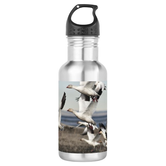 Garrafa Snow Geese Voadora (Frente)