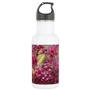 Garrafa Spirea Rosa