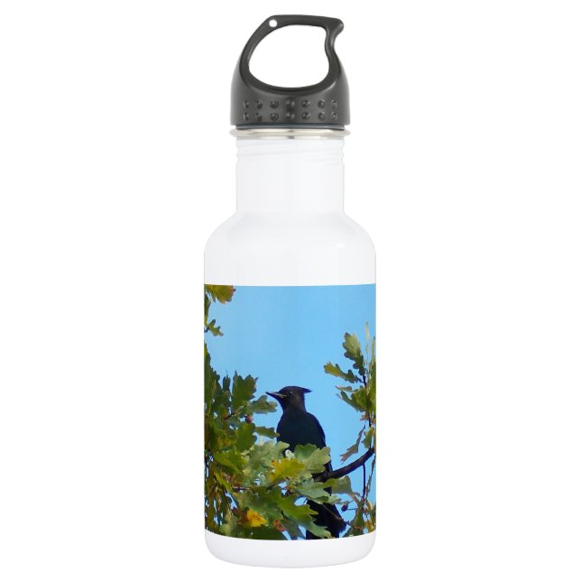 Garrafa Steller Jay no carvalho (Frente)