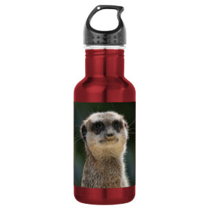 Garrafa Suricata_2015_0209