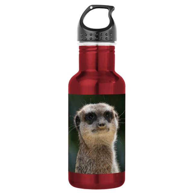 Garrafa Suricata_2015_0209 (Frente)