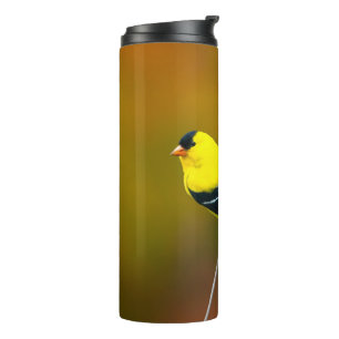 Garrafa Térmica American Goldfinch - Fotografia original