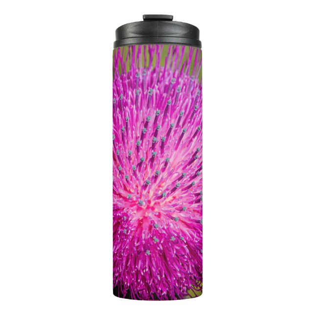 Garrafa Térmica Aperto do caroço do leite (Frente)