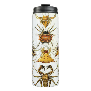 Garrafa Térmica Aranhas ou Aracnídeos Vintage por Ernst Haeckel