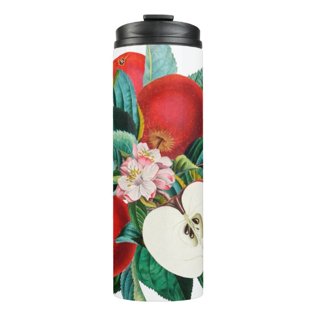 Garrafa Térmica Arranjo de fruta de maçã botânica, antigo t (Frente)