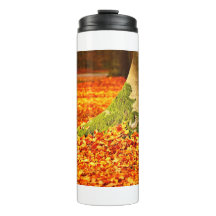 Árvore do outono 11