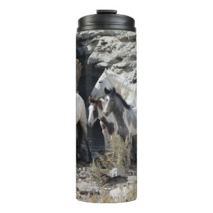 Garrafa Térmica Bacia De Lavagem De Areia, Quebra De Água