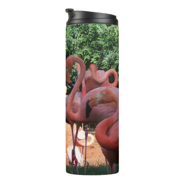 Garrafa Térmica Bando De Flamingos Rosa (Rotação à direita)