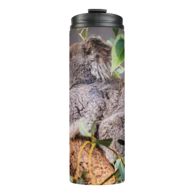 Garrafa Térmica Bela coala (Frente)