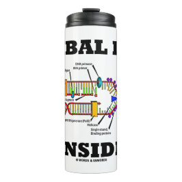 Garrafa Térmica Biorantropologia de replicação do DNA Dentro triba