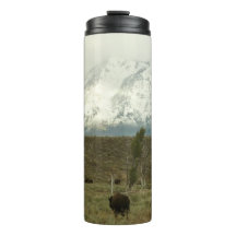 Bison no Grand Teton National Park Fotografia