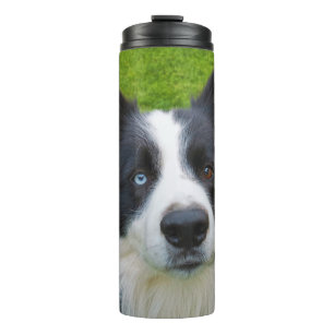 Garrafa Térmica Border Collie