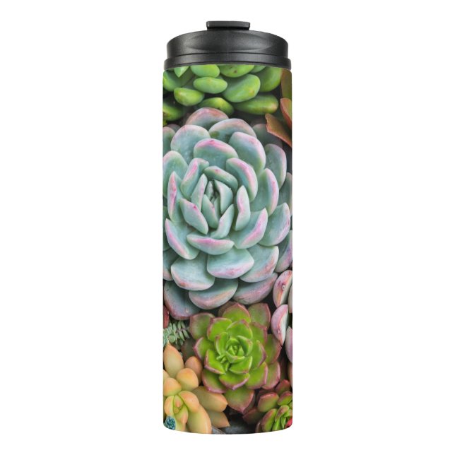 Garrafa Térmica Cactus Succulents (Frente)