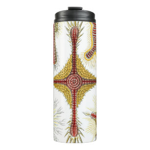 Garrafa Térmica Camomila Selvagem por Ernst Haeckel, Natureza Vint