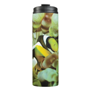 Garrafa Térmica Caneca térmica com design dos clownfish