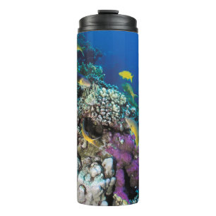 Garrafa Térmica Cardumes de Salmonete em torno de Pequeno Coral