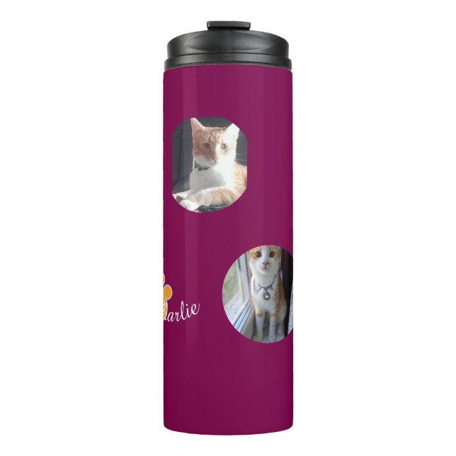 Garrafa Térmica Cat Pawprint Humor Cat Photo (Frente)