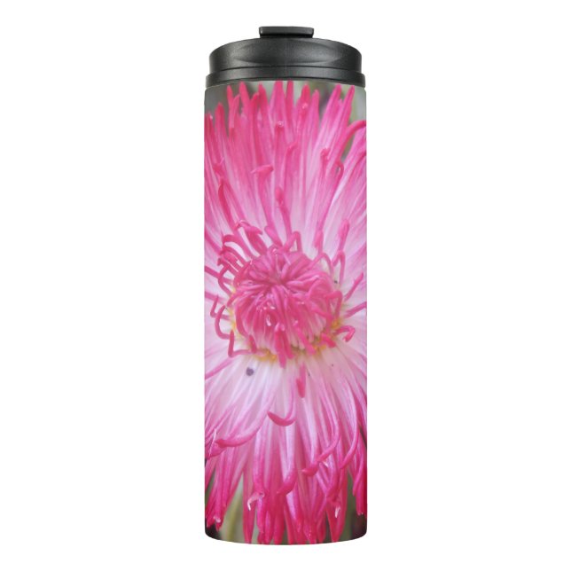 Garrafa Térmica Cogniet (Frente)