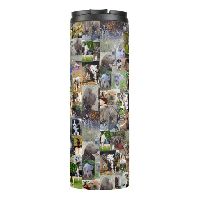 Garrafa Térmica Colagem Fotográfica De Raça De Cão, (Verso)
