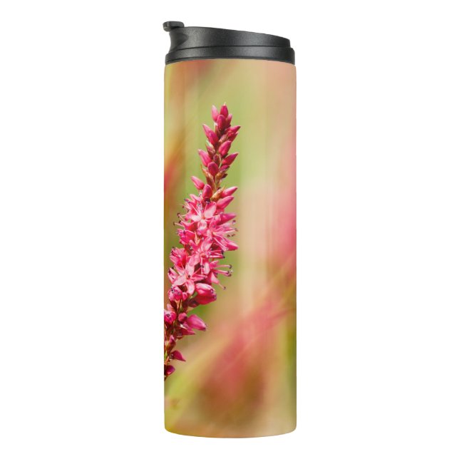 Garrafa Térmica colorbush (Rotação à direita)