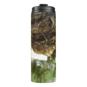 Garrafa Térmica Concha de Cicada. Estava com pressa.