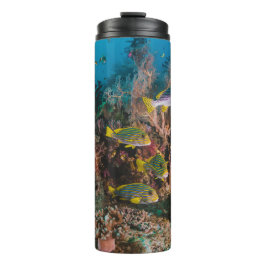 Garrafa Térmica Coral Reef Tumbler