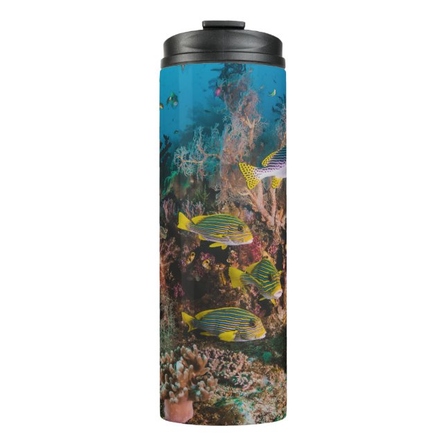 Garrafa Térmica Coral Reef Tumbler (Frente)