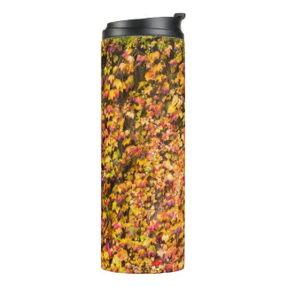 Garrafa Térmica cores de outono dourado parede de hera