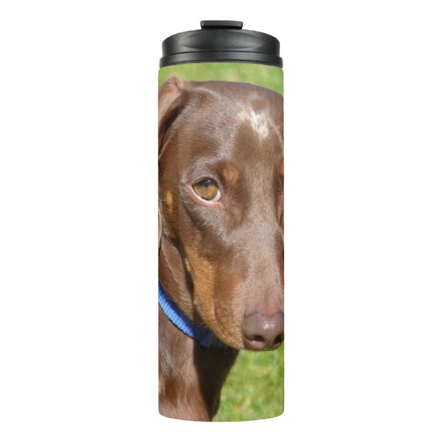 Garrafa Térmica Dachshund (Frente)