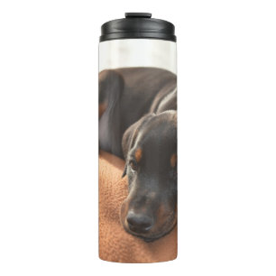 Garrafa Térmica doberman-pinscher-filhote