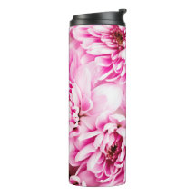 Flor Chrysanthemum Rosa