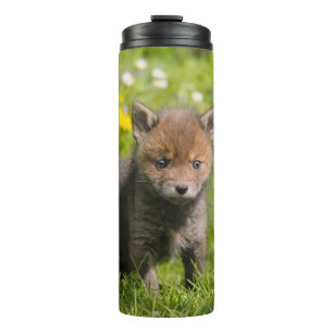 Garrafa Térmica Fofo Floffy Red Fox Cub Animais Selvagens Bebê Fot