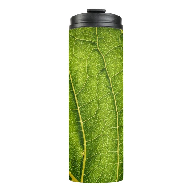 Garrafa Térmica Folha verde (Frente)