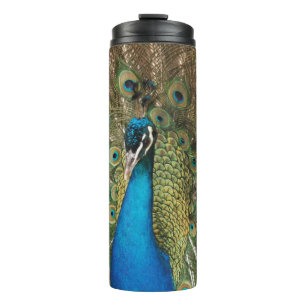 Garrafa Térmica Foto de Belo Pavão com Penas de Espalhamento