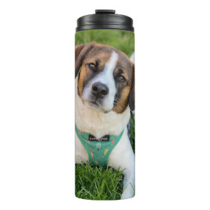 Garrafa Térmica Foto de Cachorro Adicione Sua Foto