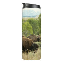 Fotografia de Animais da Natureza Bisão de Wyoming