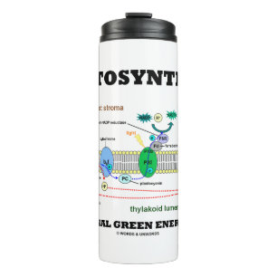 Garrafa Térmica Fotossíntese A Fonte De Energia Verde Original