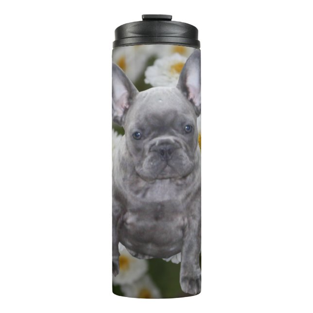 Garrafa Térmica Französische Bulldogge  (Frente)