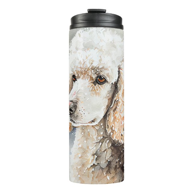 Garrafa Térmica --Garrafa Térmica Portátil (Frente)