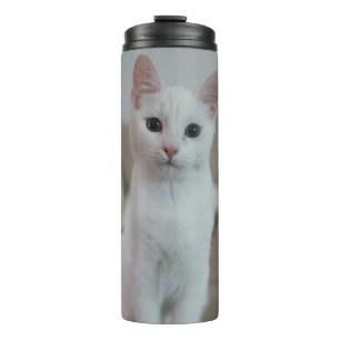 Garrafa Térmica Gato branco Zazzle_Growth.
