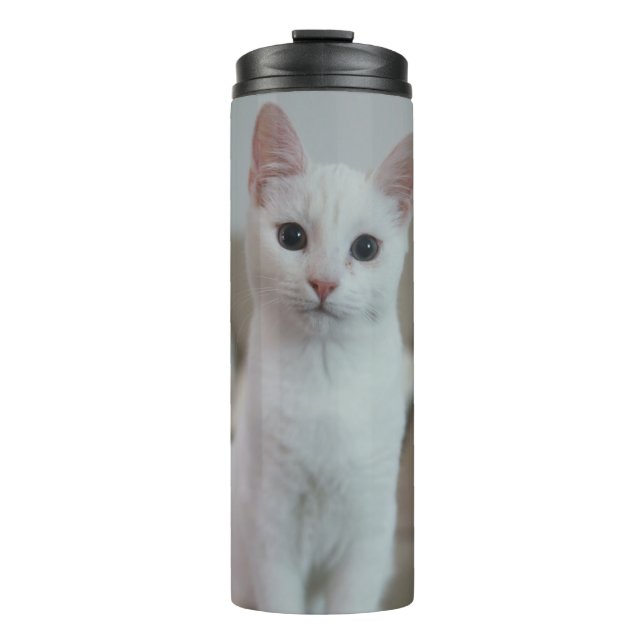 Garrafa Térmica Gato branco | Zazzle_Growth. (Frente)